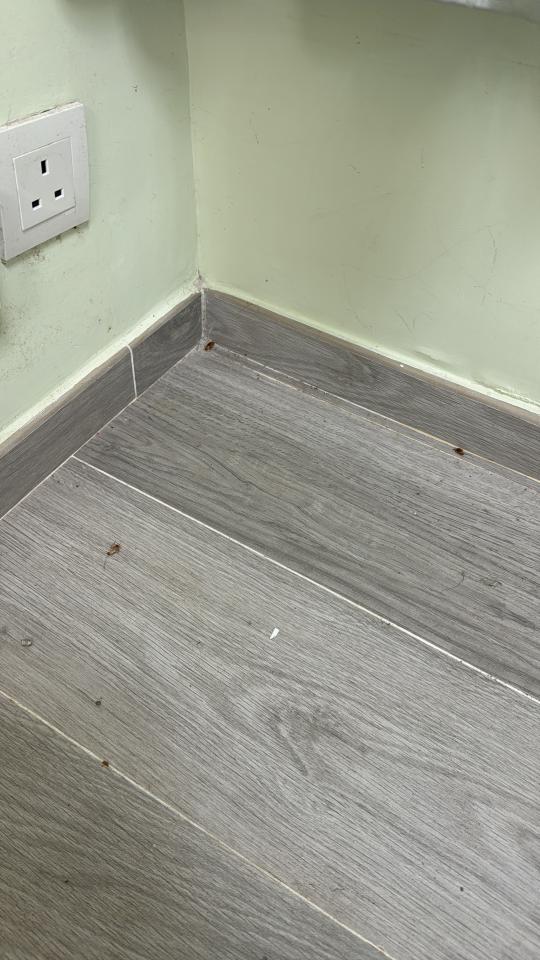 Move-in CleaningJob photo