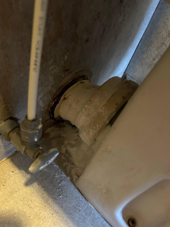 Toilet Installation & RepairJob photo