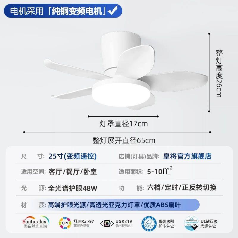 Ceiling Fan Light InstallationJob photo