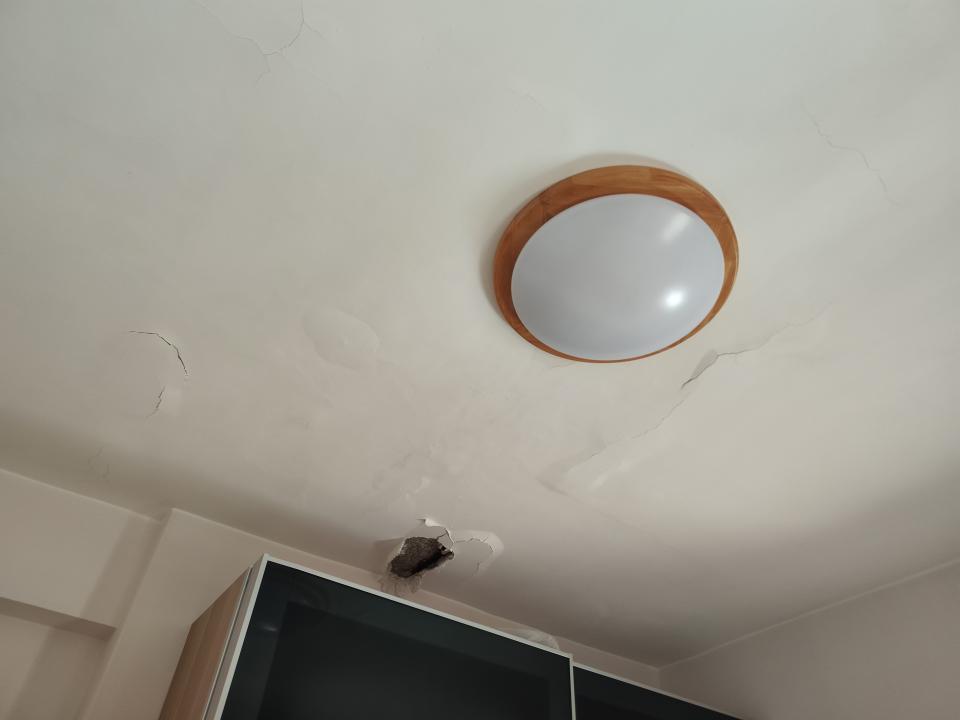 Wall PaintingJob photo