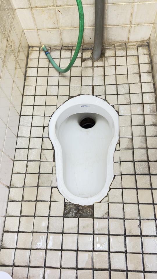 Toilet Installation & RepairJob photo