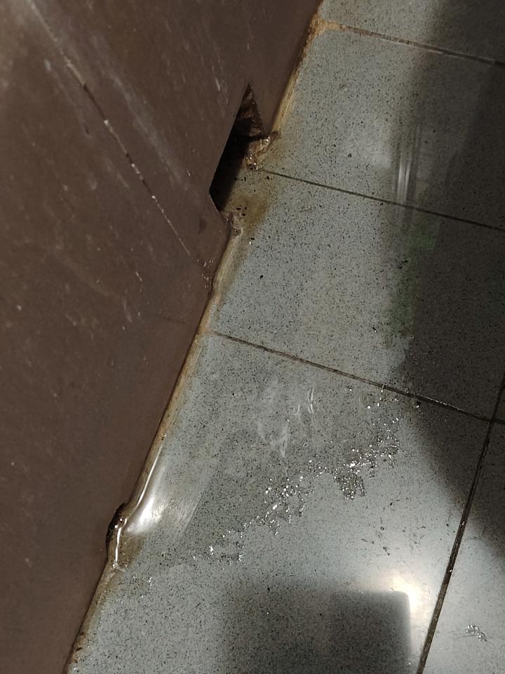 Water Leakage RepairJob photo