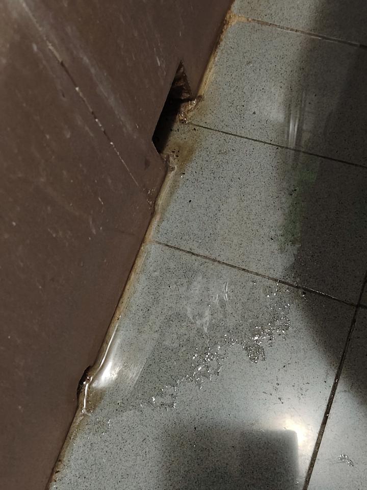 漏水維修工作照片