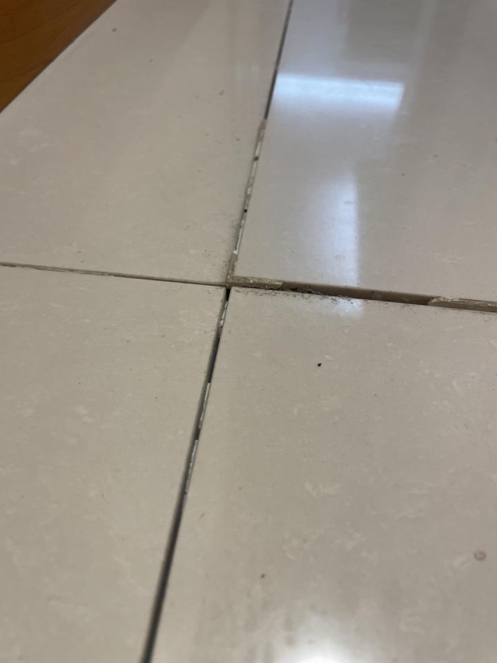 Tile RepairJob photo