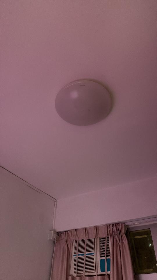 燈飾維修工作照片