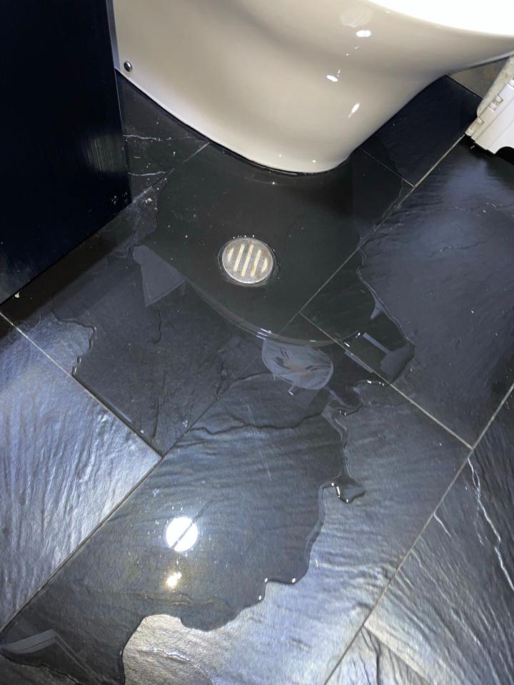 馬桶安裝工作照片