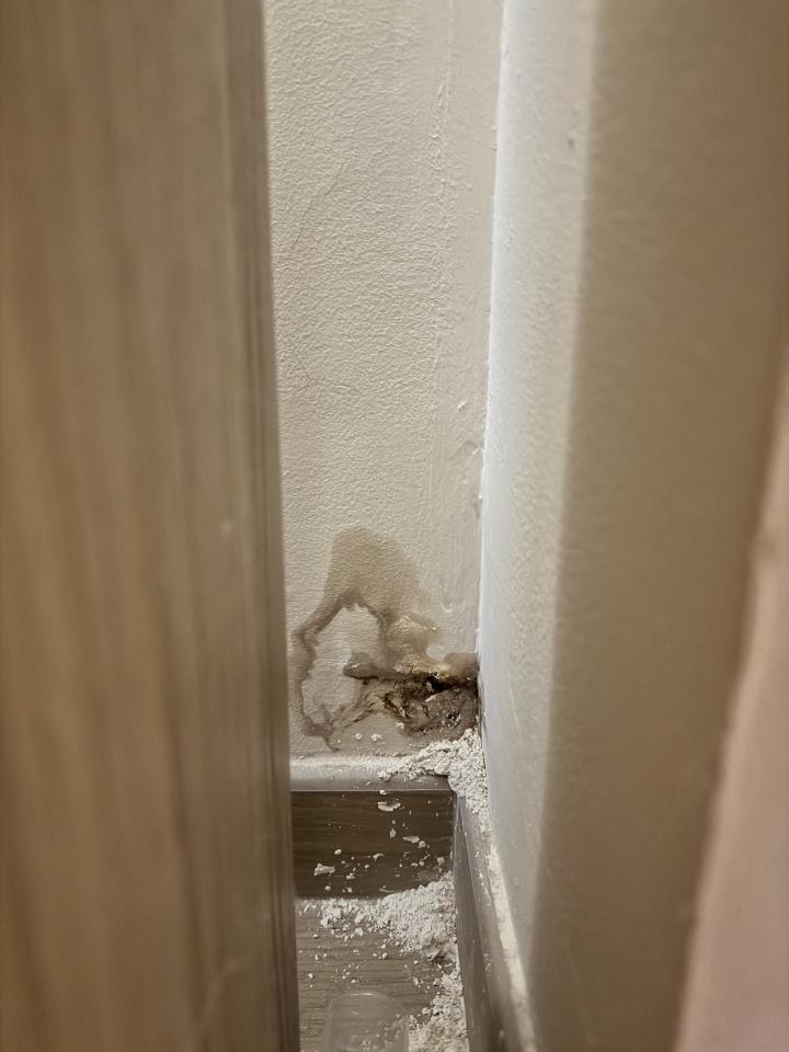 水喉水務工作照片