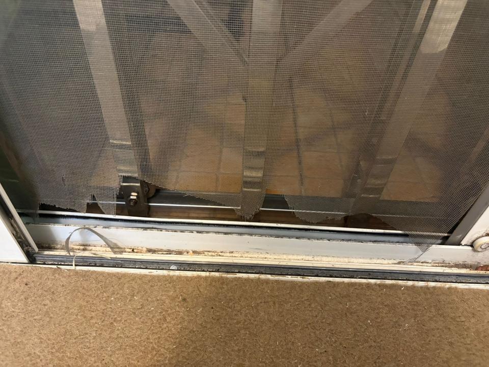 Cat Proof Window Grille and GateJob photo