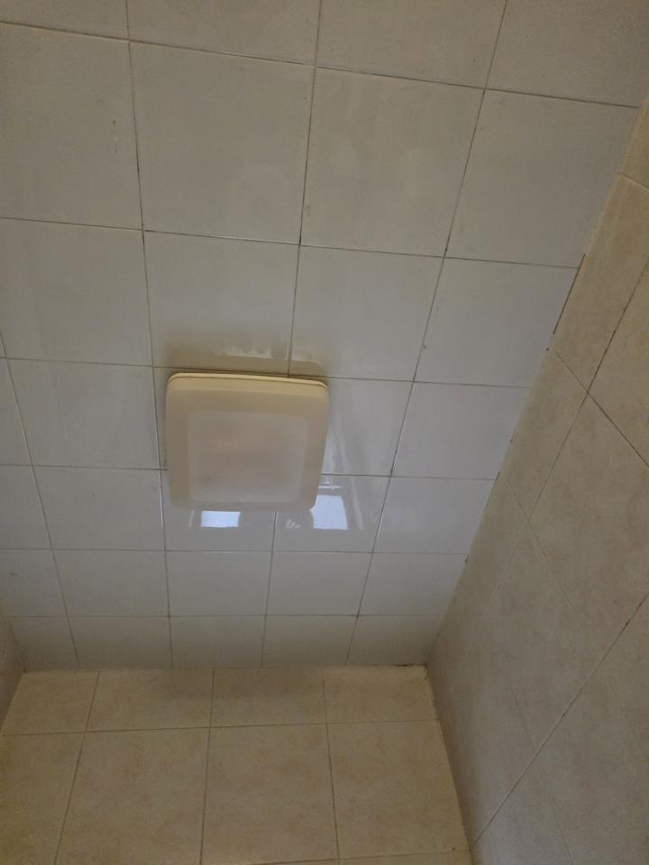 燈飾維修工作照片