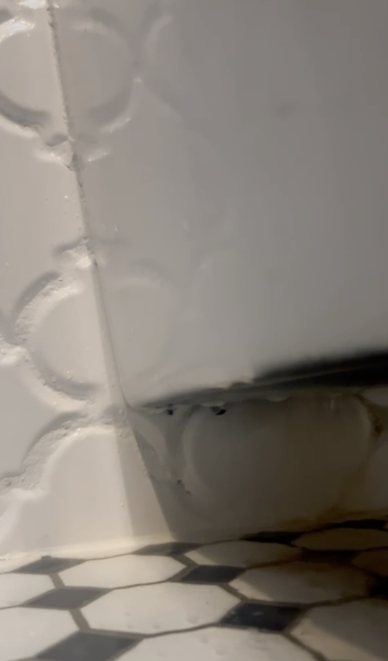 漏水維修工作照片