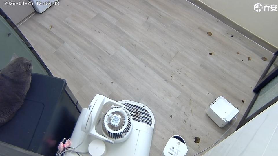 Move-in CleaningJob photo