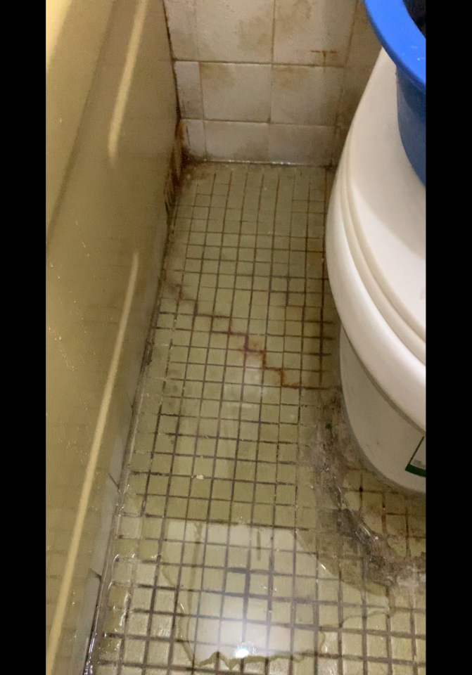 PlumbingJob photo