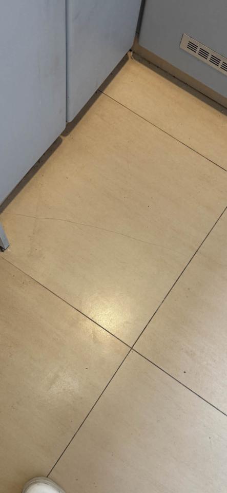 PlasterworkJob photo
