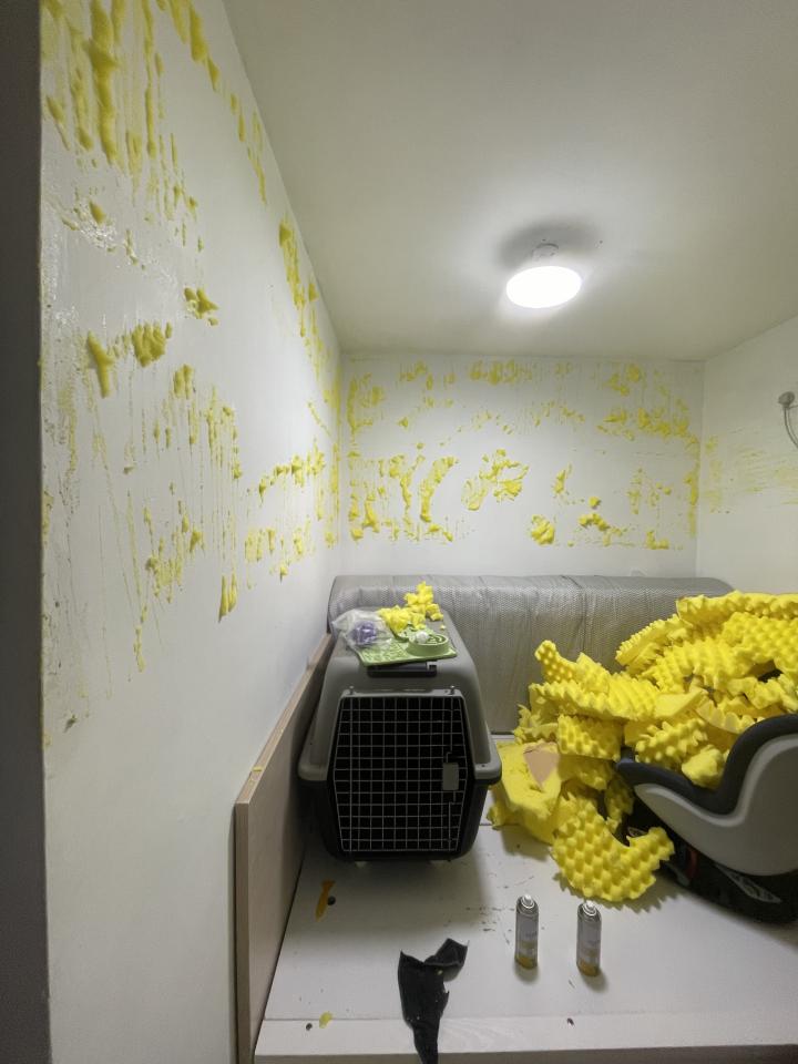 Wall PaintingJob photo