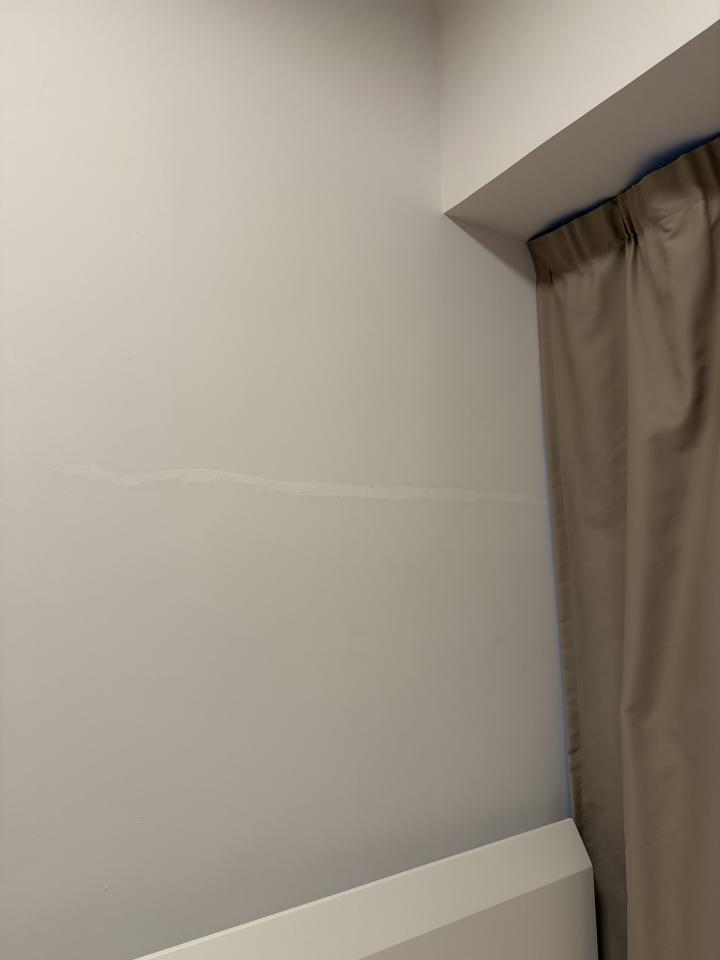 Wall PaintingJob photo
