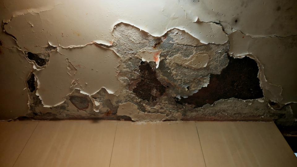 Ceiling RenovationJob photo
