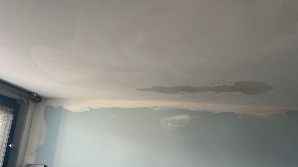 Wall PaintingJob photo