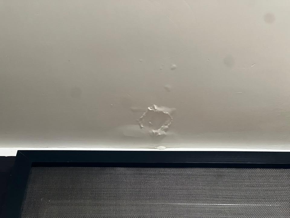Wall PaintingJob photo
