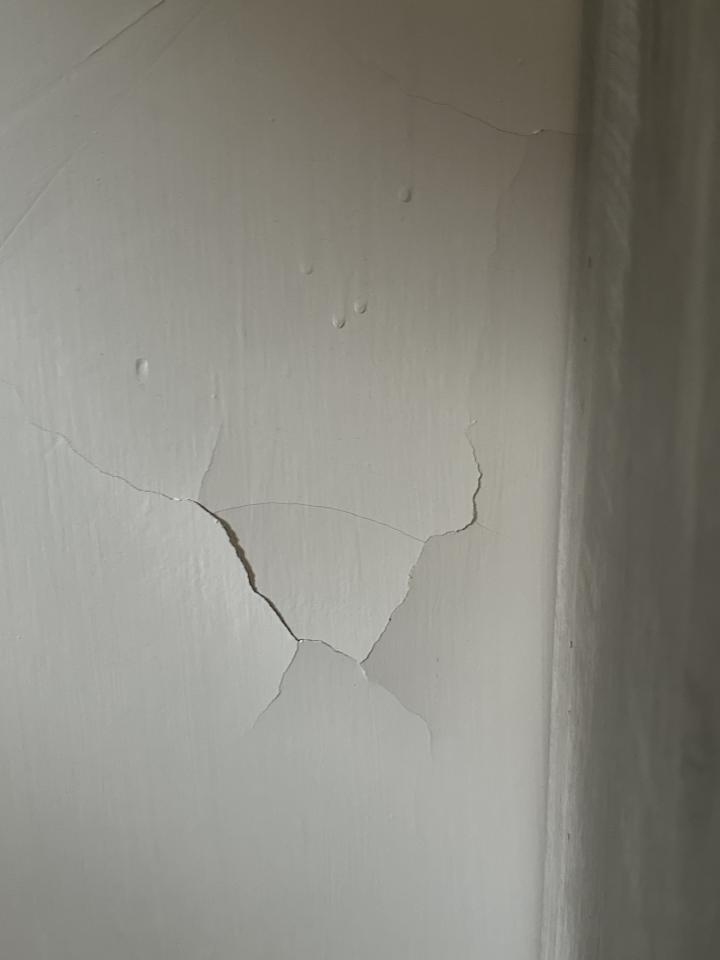 PlasterworkJob photo
