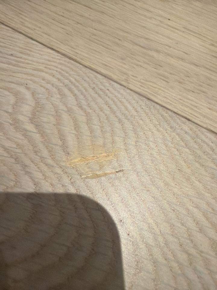 Wood Floor RestorationJob photo