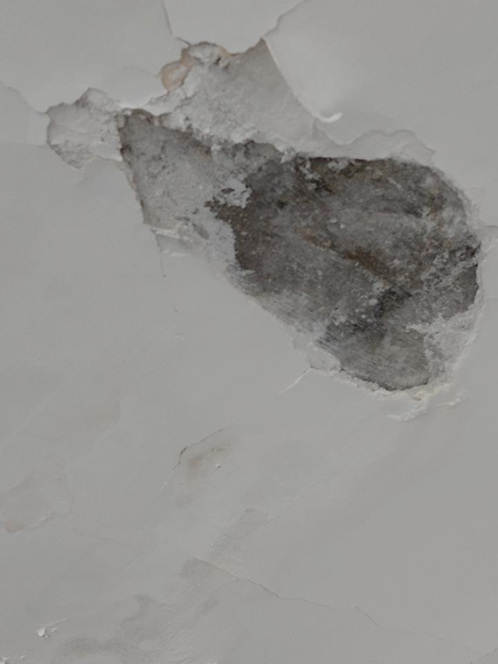 Wall PaintingJob photo