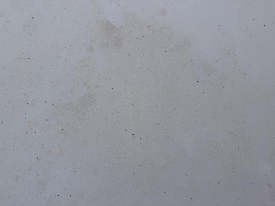 Mold RemovalJob photo