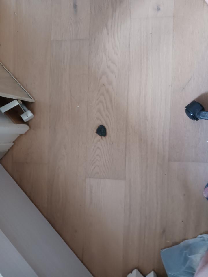 地板工程工作照片