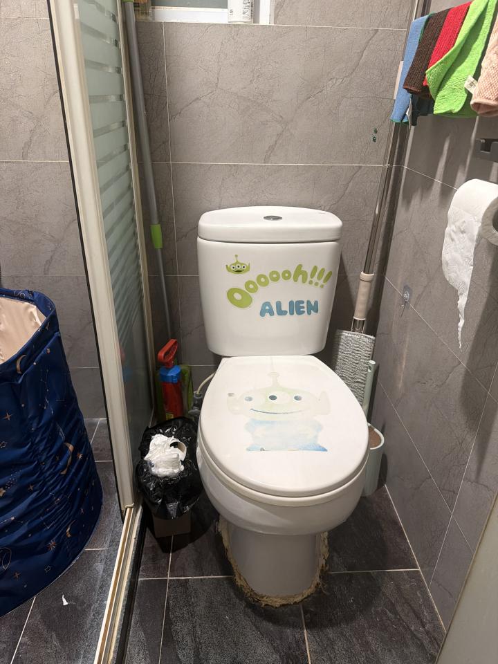 Toilet Installation & RepairJob photo