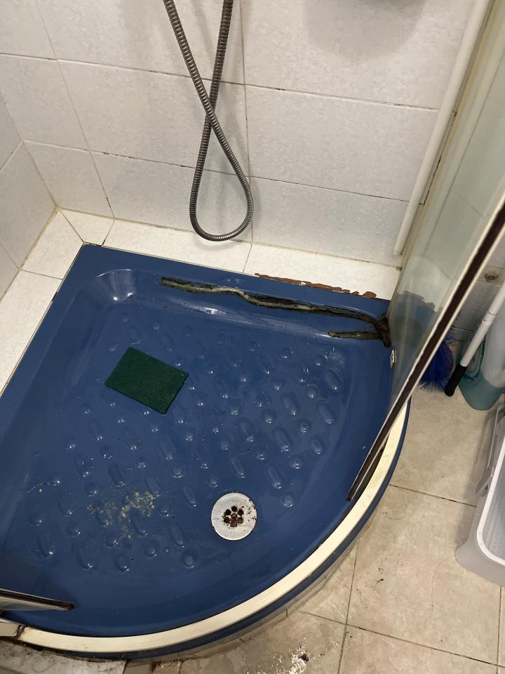 浴室翻新工作照片