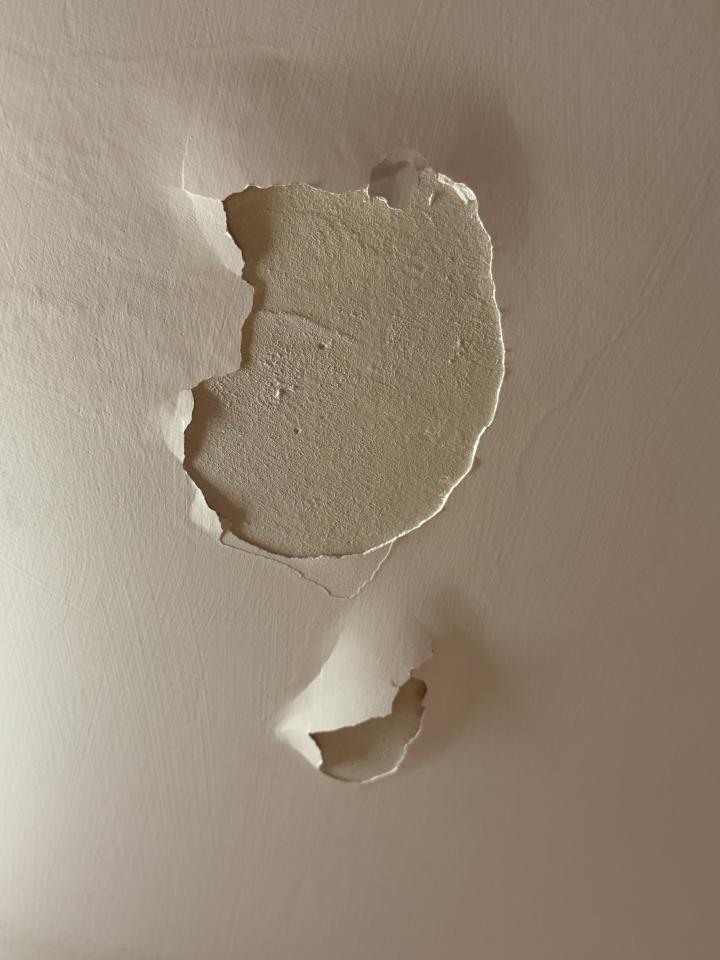 Ceiling RenovationJob photo
