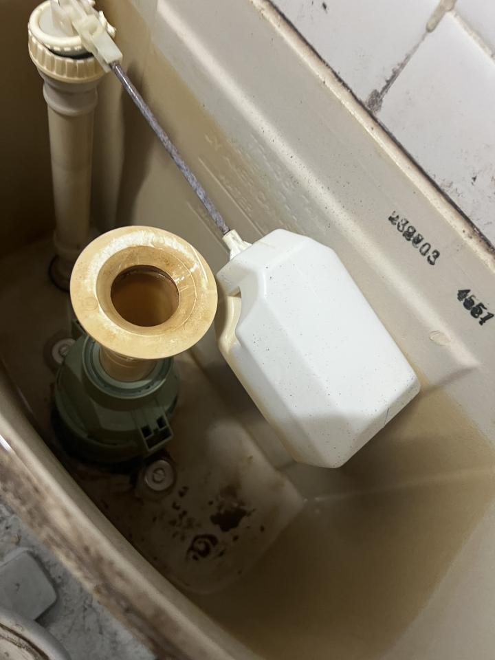 Toilet Installation & RepairJob photo