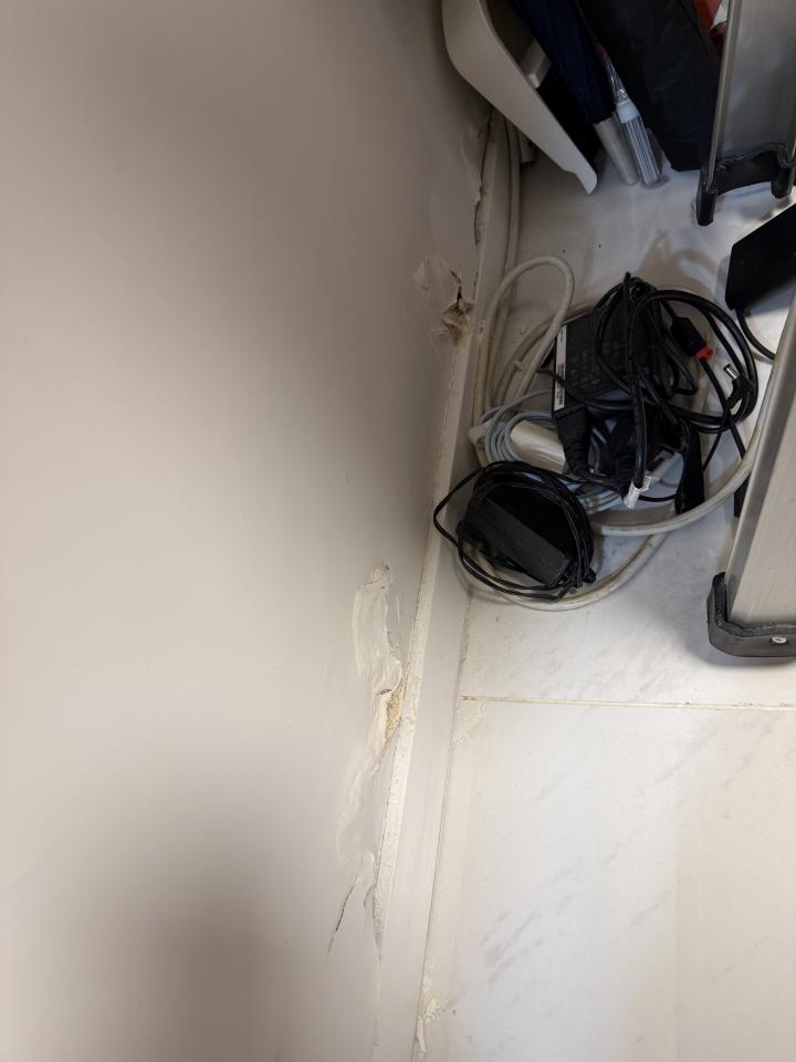Wall PaintingJob photo
