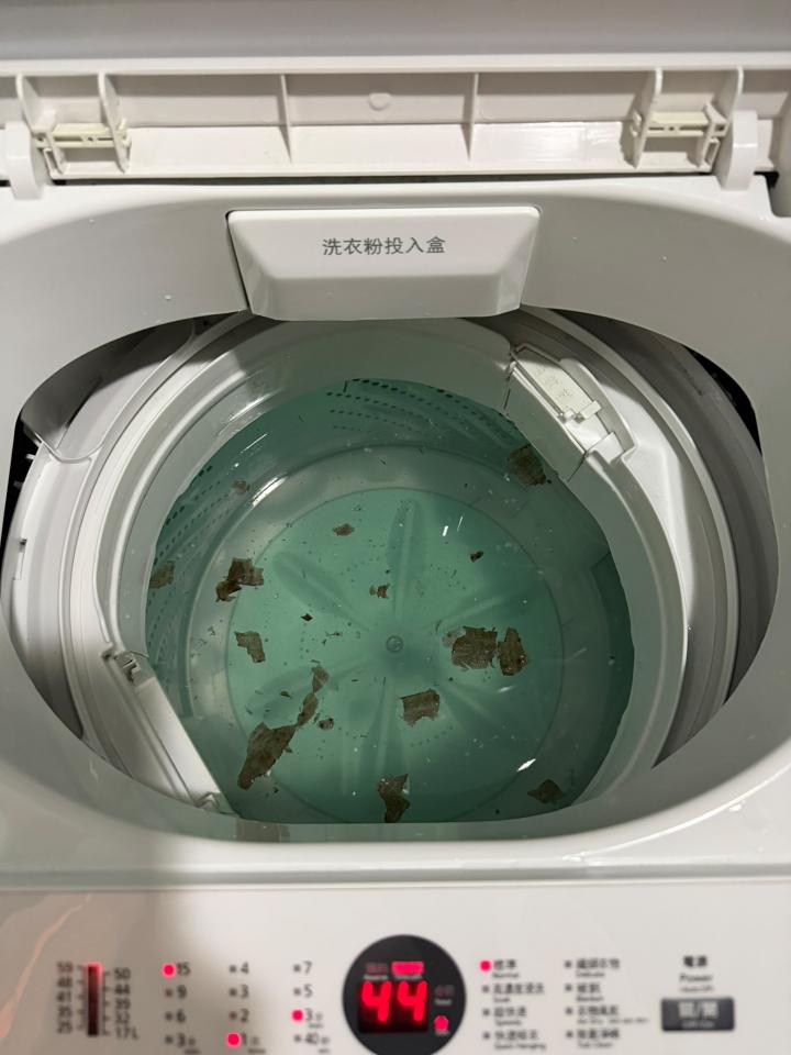 Washing Machine CleaningJob photo