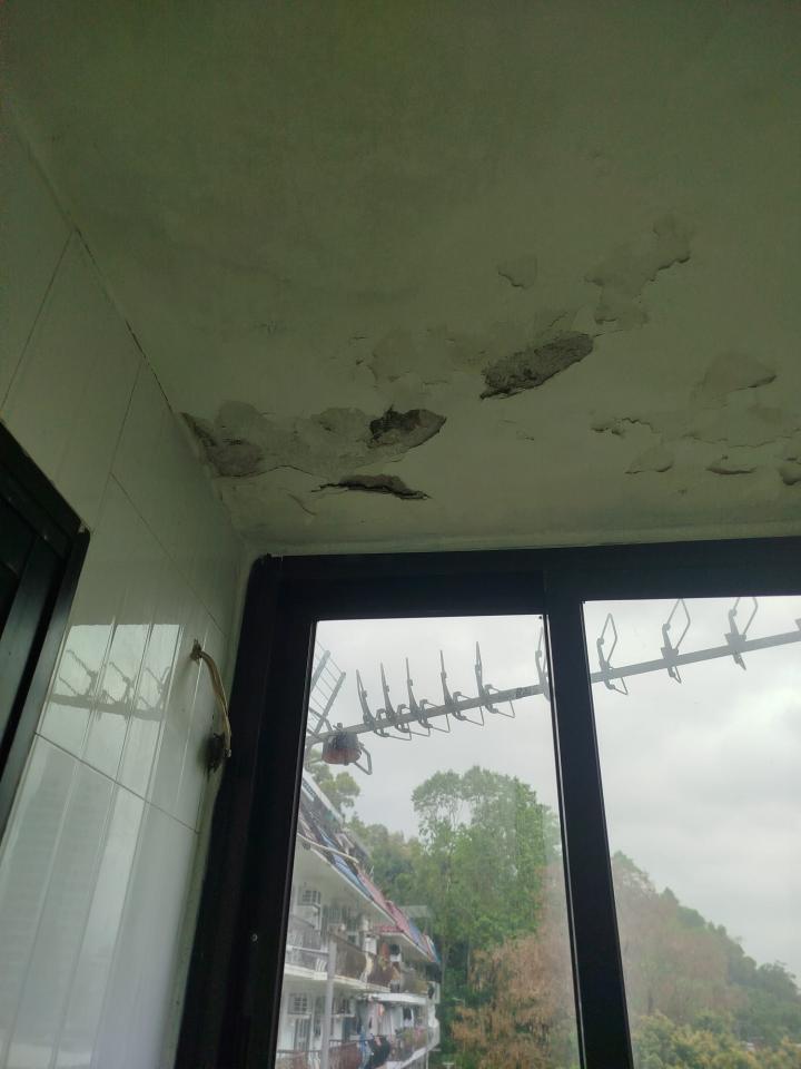 PlasterworkJob photo