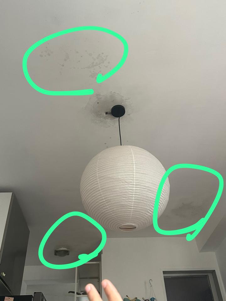 Wall PaintingJob photo
