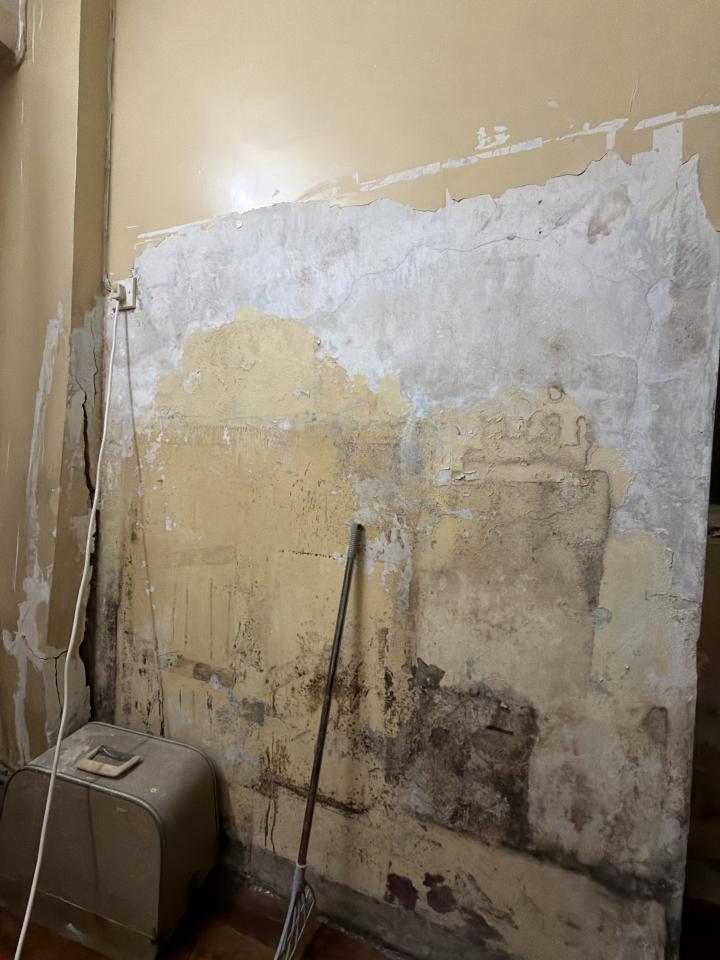 Wall PaintingJob photo