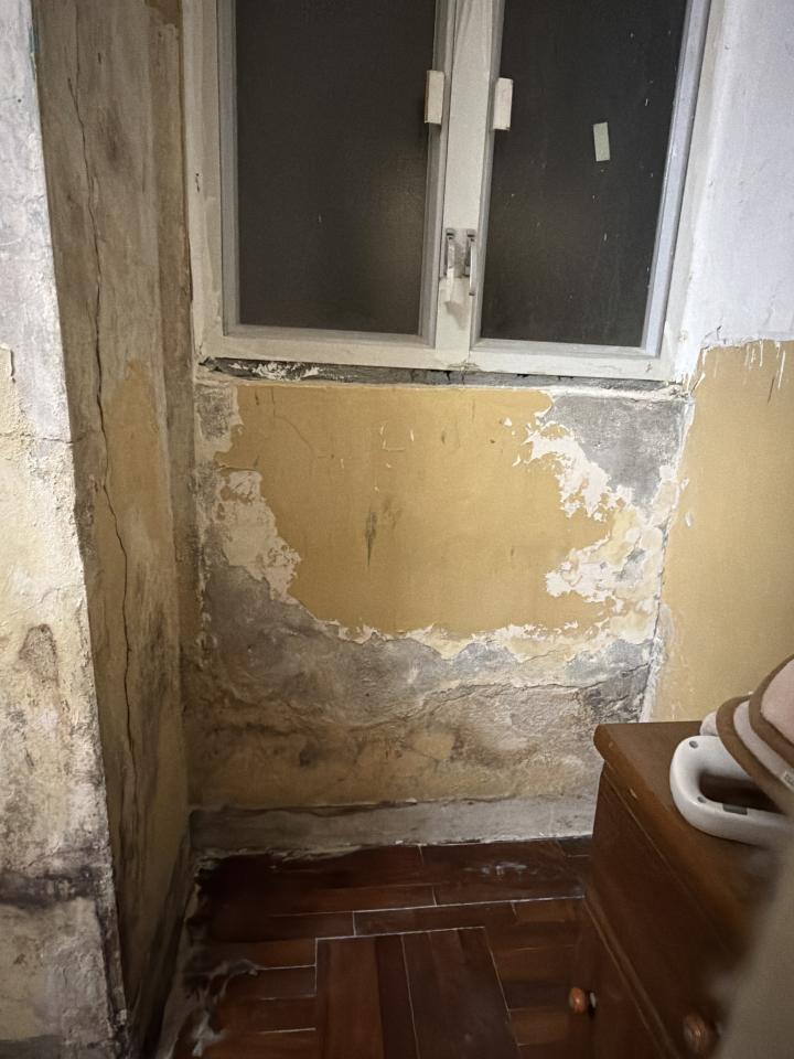 Wall PaintingJob photo
