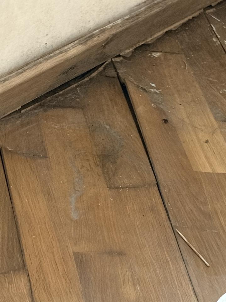 Flooring RepairJob photo