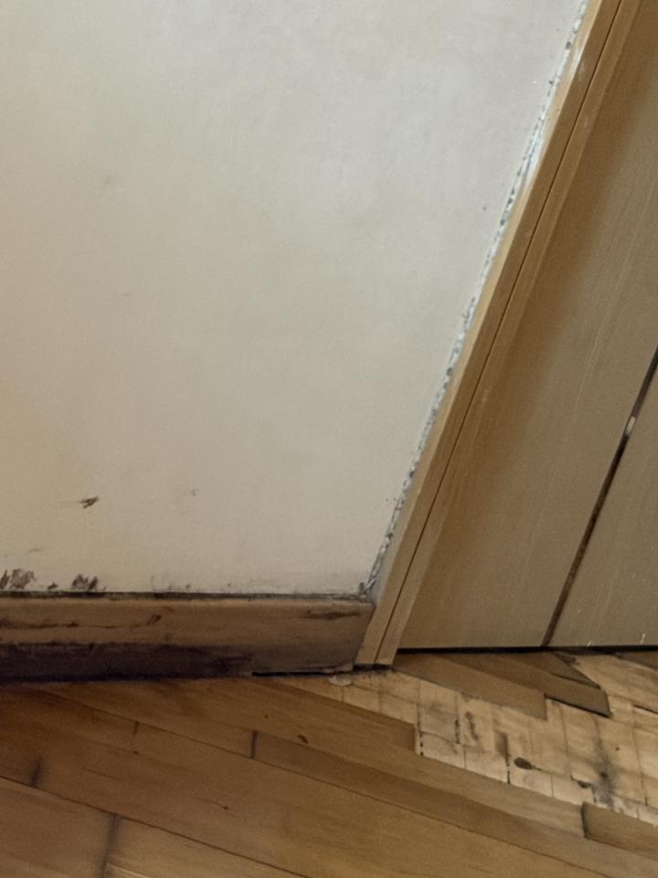 Flooring RepairJob photo