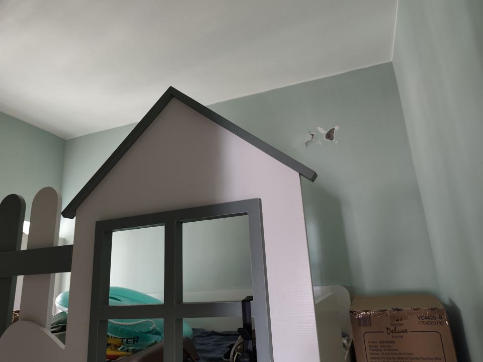 Wall PaintingJob photo