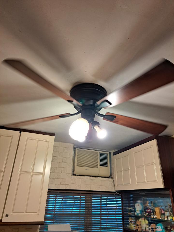 Ceiling Fan Light InstallationJob photo