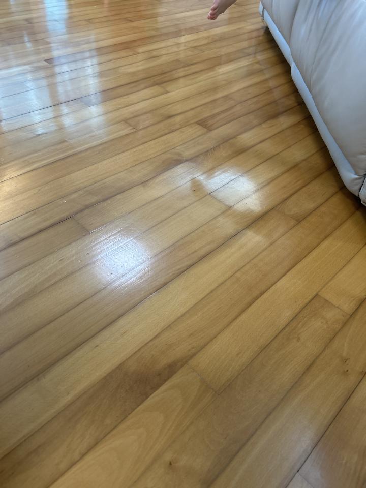 Wood Floor RestorationJob photo