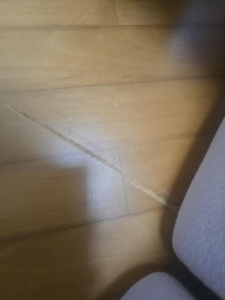Flooring RepairJob photo