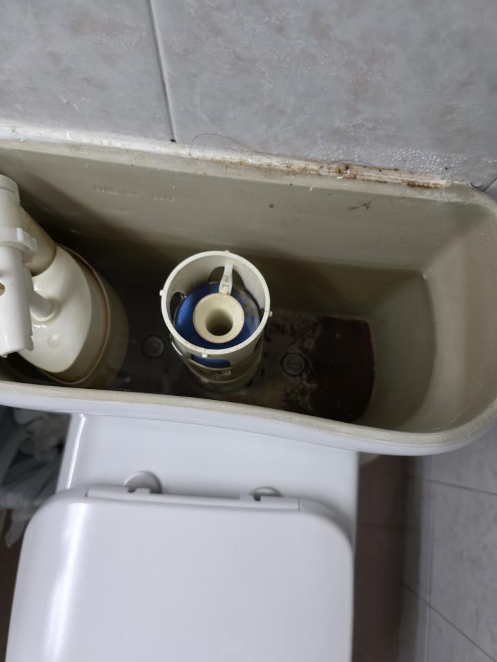 Toilet Installation & RepairJob photo