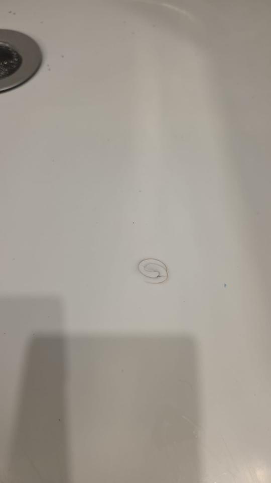 Bathroom RenovationJob photo