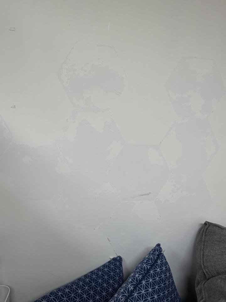 Wall PaintingJob photo