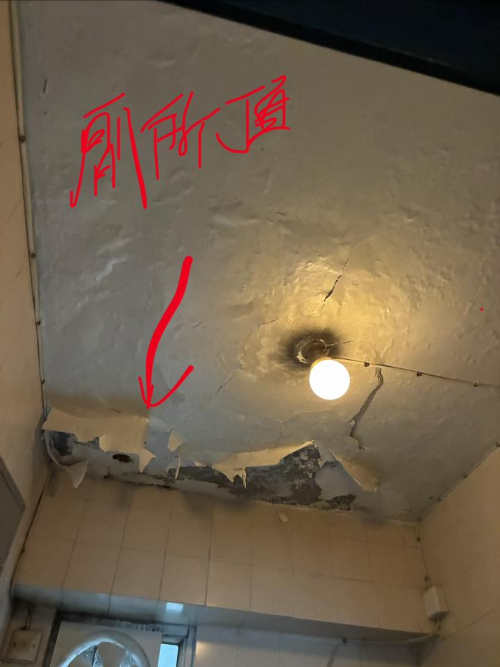 Wall PaintingJob photo