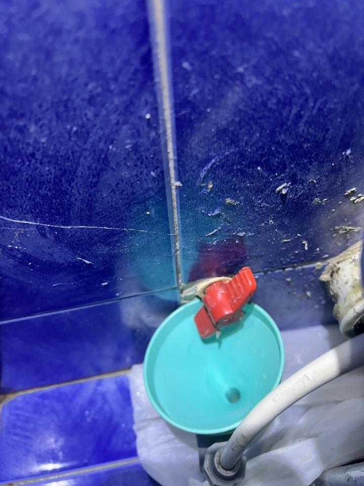 Pipeline CleaningJob photo