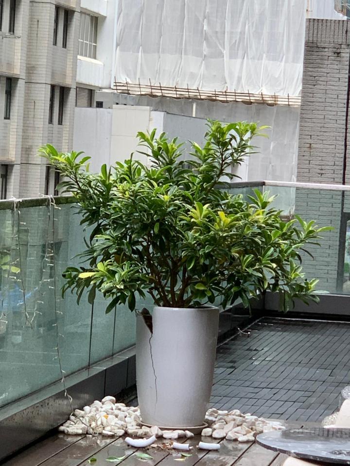 Landscape DesignJob photo