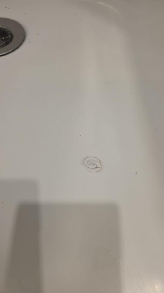 Bathroom RenovationJob photo